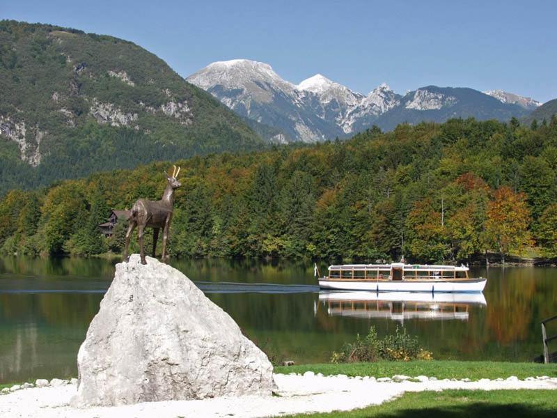 Apartments Zdovc Bohinjska Bistrica Bagian luar foto